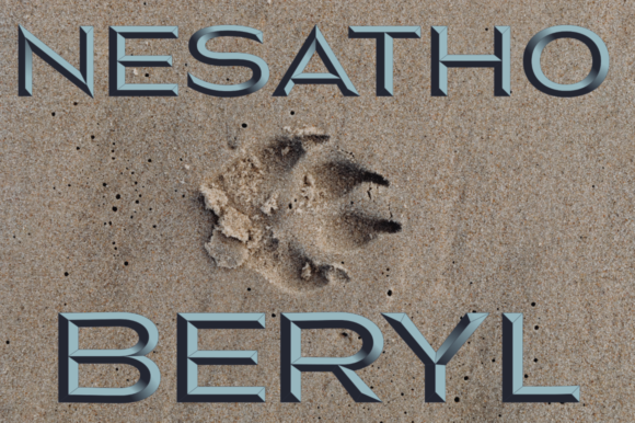 Nesatho-Beryl: Cool, Assertive, and Adaptable Color Font